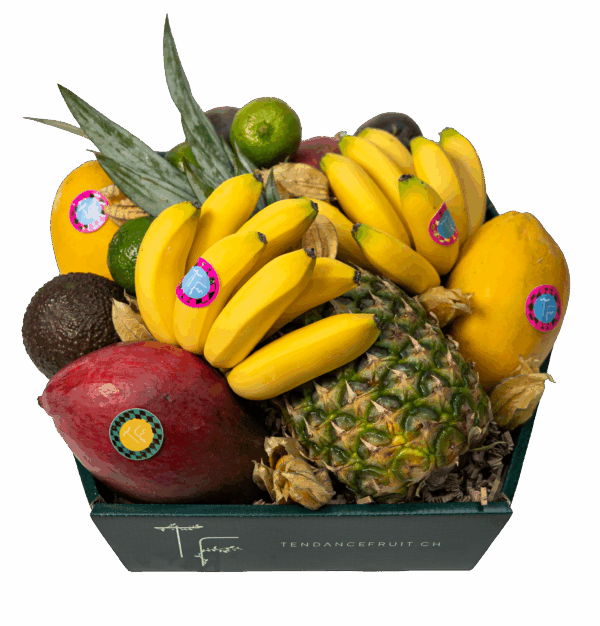 Le Grand Exotique