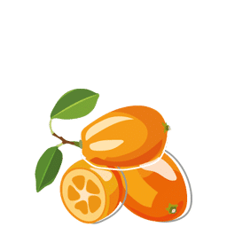 Kumquat