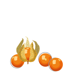 Icone-Physalis