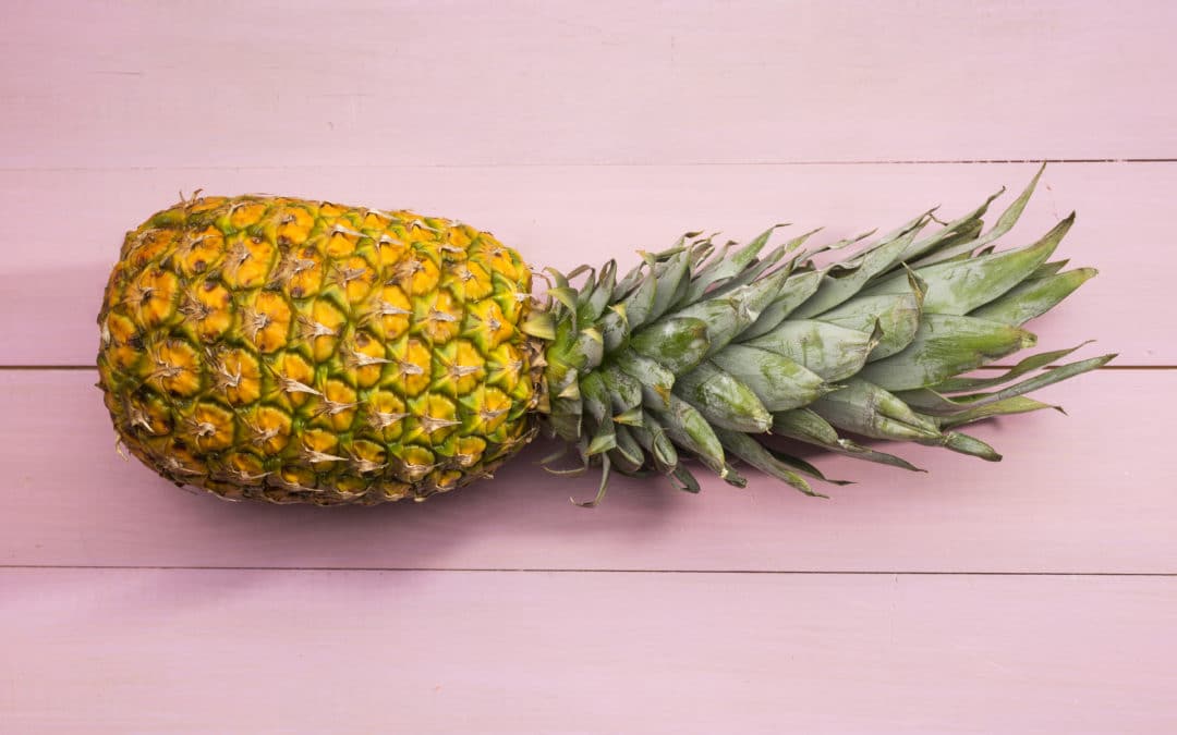 Les origines de l’Ananas